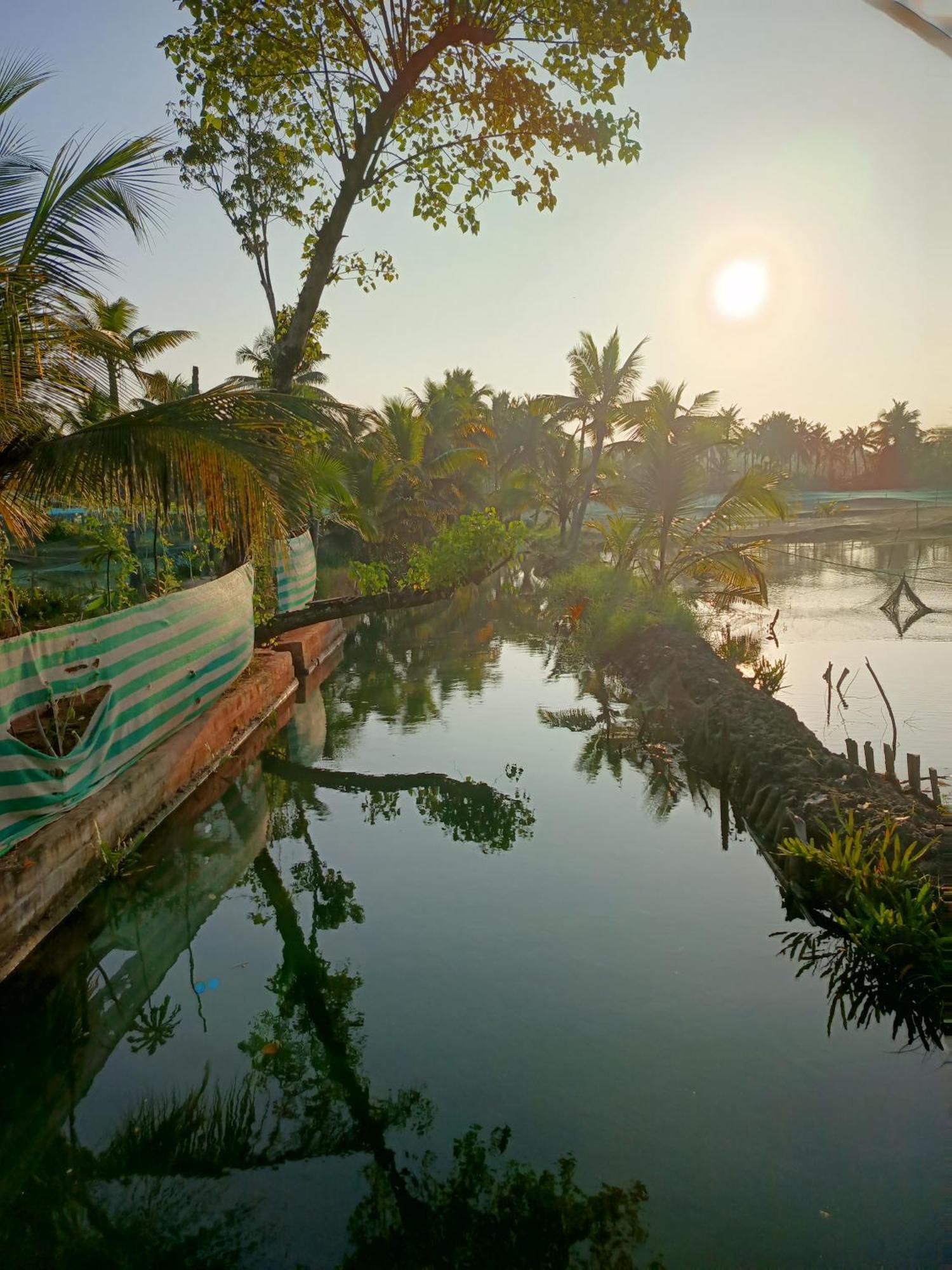 Bliss Homestay Munroe Island Mundrothuruth المظهر الخارجي الصورة