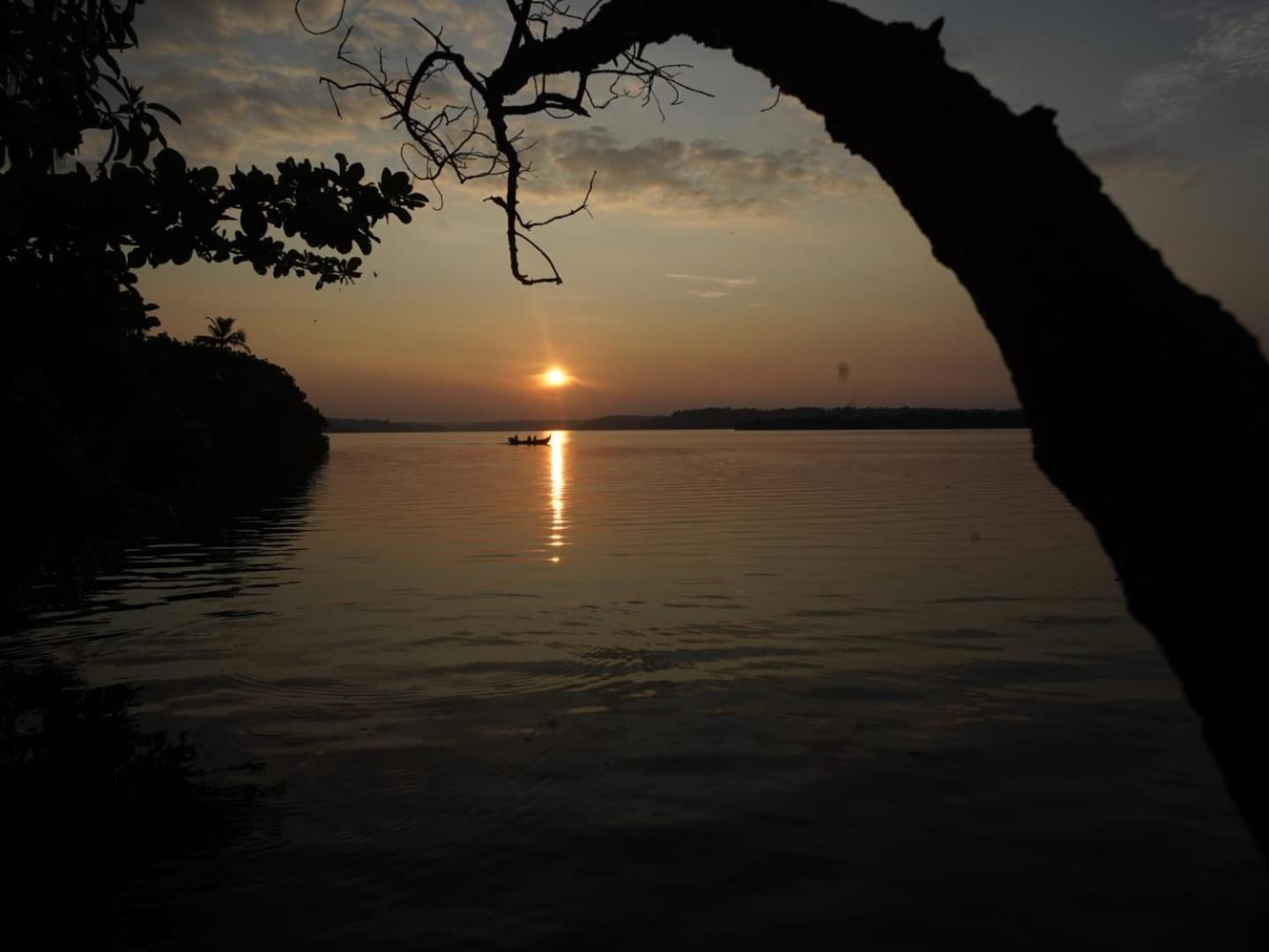 Bliss Homestay Munroe Island Mundrothuruth المظهر الخارجي الصورة