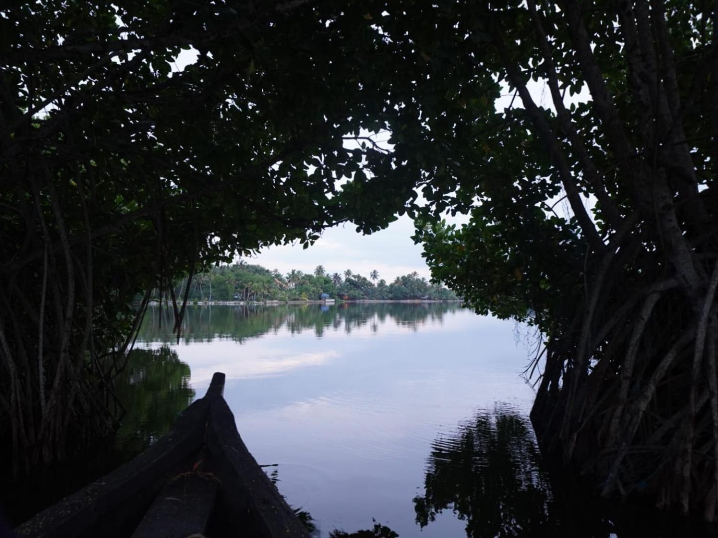 Bliss Homestay Munroe Island Mundrothuruth المظهر الخارجي الصورة