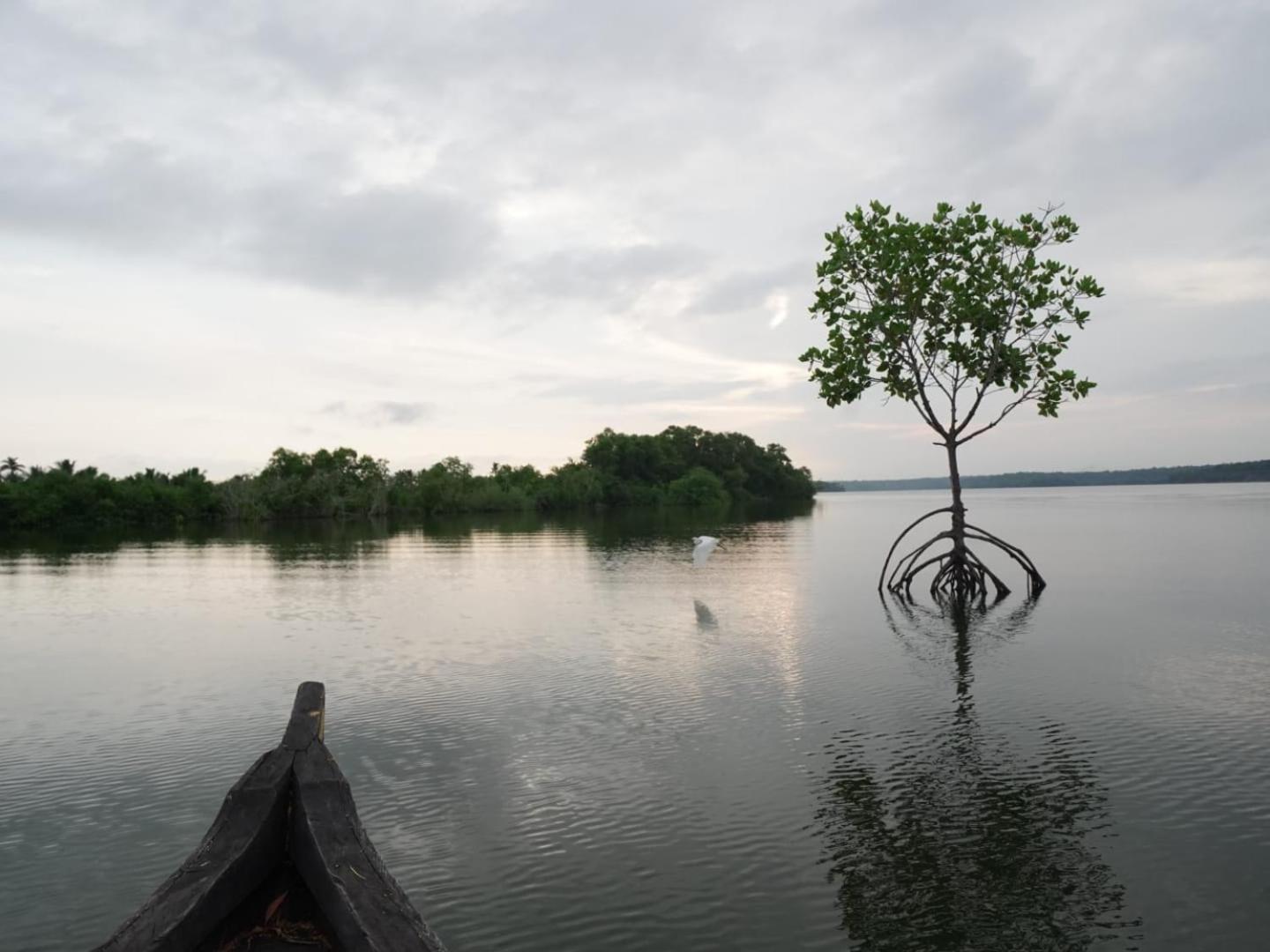 Bliss Homestay Munroe Island Mundrothuruth المظهر الخارجي الصورة