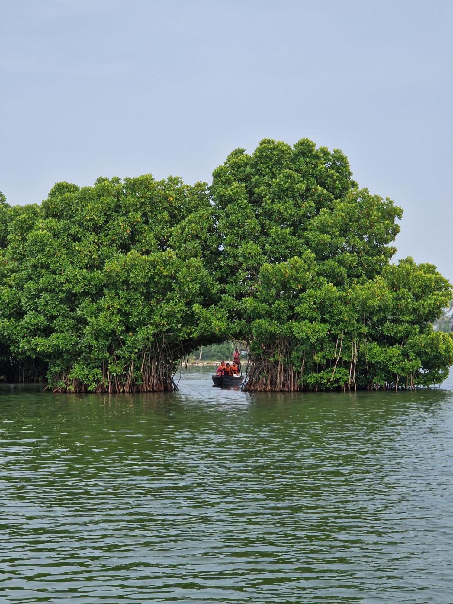 Bliss Homestay Munroe Island Mundrothuruth المظهر الخارجي الصورة