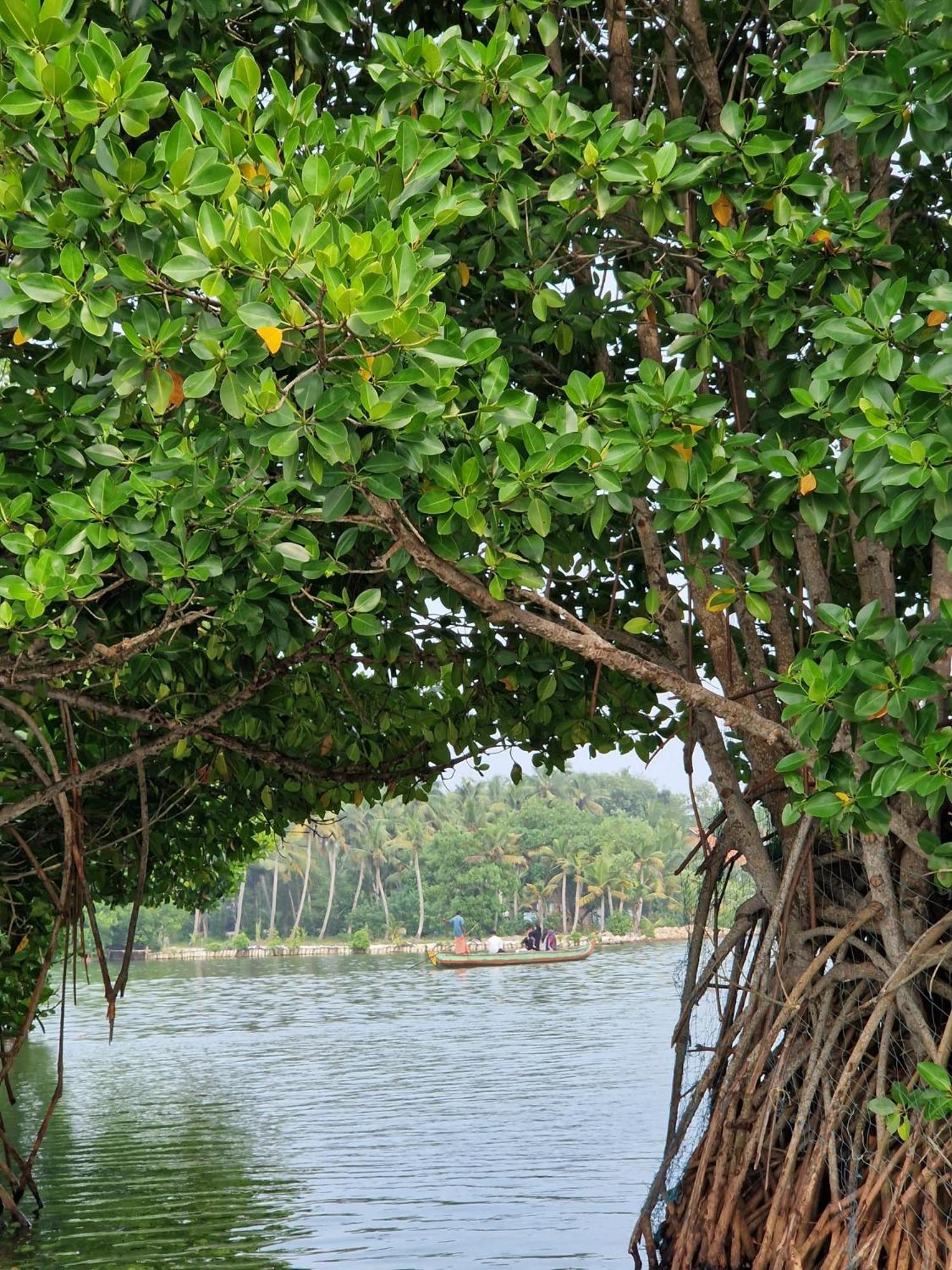 Bliss Homestay Munroe Island Mundrothuruth المظهر الخارجي الصورة